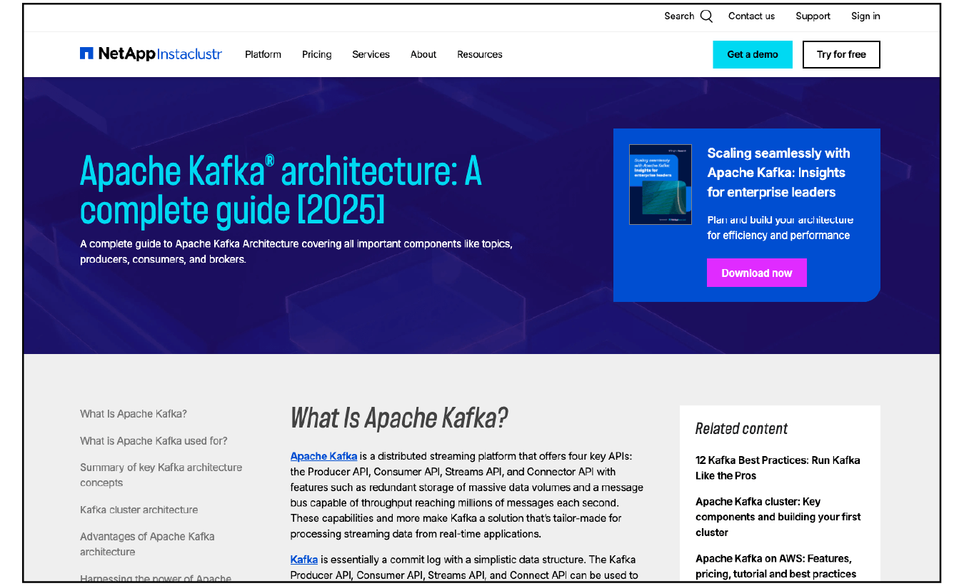 instaclustr SEO guide